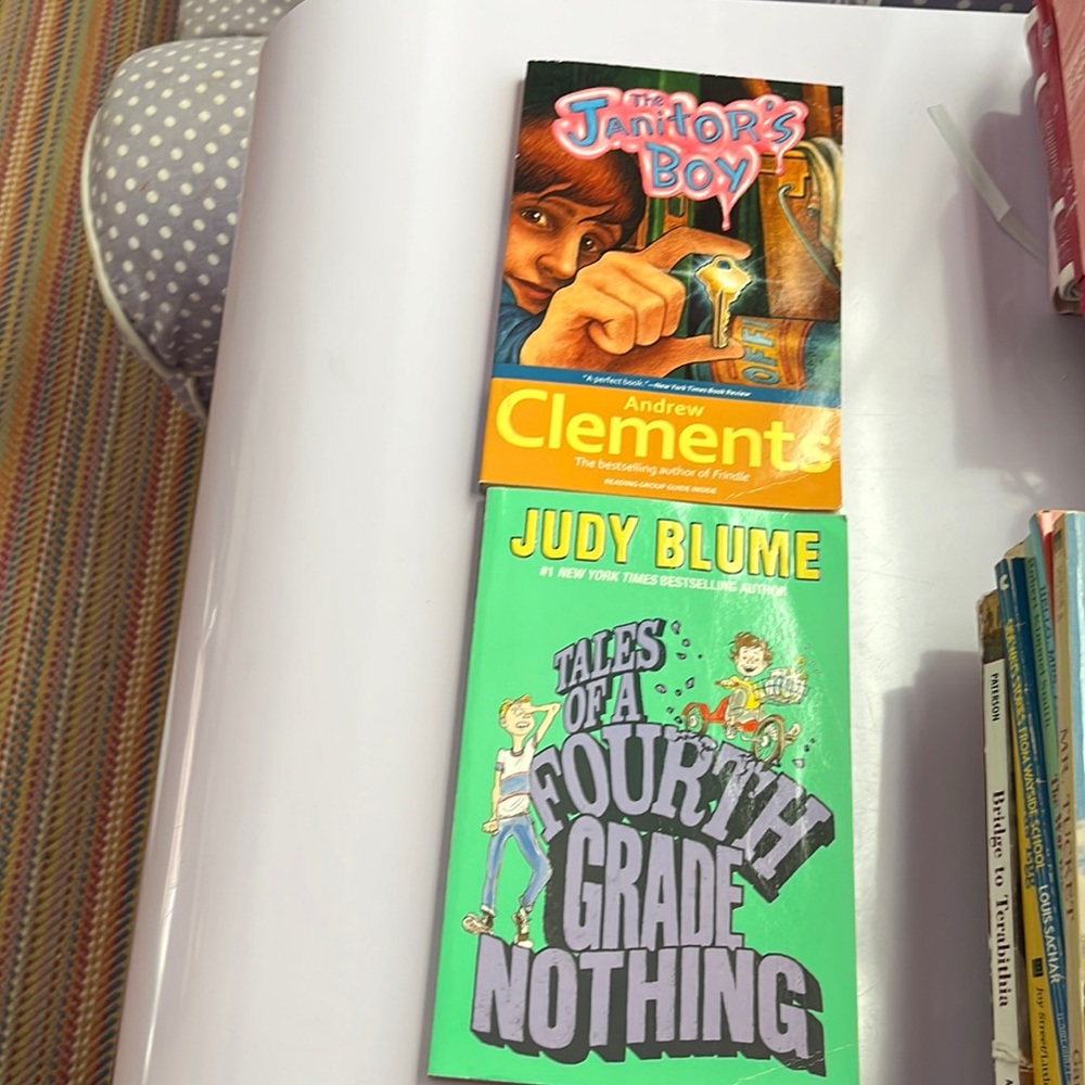 Selling 2 books: the janitors boy and tales of a fourth grade, nothing